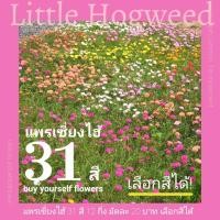 ราคา แพรเซี่ยงไฮ้ 31 สี (คุณนายตื่นสายดอกซ้อน) 12 กิ่ง/20 บาท เลือกสีได้! (8167265613)