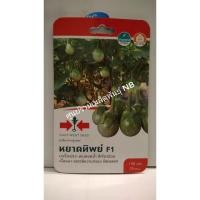 ราคา [20แถม1] เมล็ดมะเขือ มะเขือเปราะ ลูกผสม หยาดทิพย์ F1 เมล็ดพันธุ์ ศรแดง เมล็ดพันธุ์ผัก (6615288350)