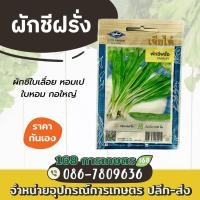 ราคา เจียไต๋ เมล็ดพันธุ์ผักชีฝรั่ง (18934908964)
