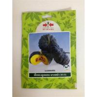 ราคา เมล็ดพันธุ์ ฟักทองลูกผสม มรกตดำ 35 : 100 กรัม (4054591743)