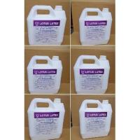ราคา น้ำยาประสานคอนกรีต (LOTUS LATEX) 5 L (3896492280)