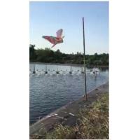 ราคา ว่าวนกอินทรีย์ว่าวนกเหยี่ยว ว่าวไล่นกกันนกทำลายผลผลิตการเกษตร ว่าวไล่นก ว่าวตกแต่งสวน พร้อมส่ง!! (6342256829)