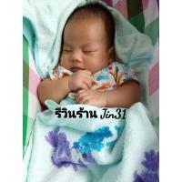 ราคา ชุดเปล ผ้าขาวม้ามีมุ้งบนล่าง (6070832274)