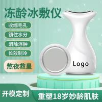 ราคา Frozen Age Ice Pack Face Ice Calming Repair บวมน้ําแข็ง Cold Pack คอนเทนเนอร์นวดผิว Ice Cold Pack (45104030752)