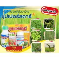 ราคา ยาคุมหญ้านาข้าว ซุปเปอร์สตาร์ ยาคุมหญ้าในนาข้าว คุมแห้ง ชุดยาคุมหญ้าในนาข้าว คุมหญ้าใบกว้าง ใบแคบ กก คุมหญ้าได้ทุกชนิด (29153554983)