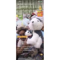 ราคา สินค้าที่เอฟในไลฟ์ของK’lan (9716355142)