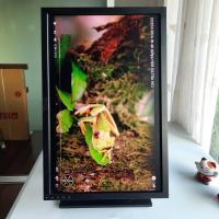 ราคา จอคอมพิวเตอร์ 22 นิ้ว Dell UltraSharp 2209WAF DVI/VGA 1680x1050 Widescreen LCD Monitor หมุนได้ จอคุณภาพดีมีประกัน (11274979809)