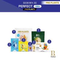 ราคา รีบอร์นโภชนาการที่ดีเพื่อคุณ Reborn III Perfect DHA 41,240 (24506149522)
