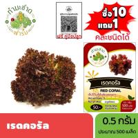 ราคา ทำมะชาดฟาร์ม (ซื้อ10แถม1) เมล็ดพันธุ์ เรดคอรัล ขนาด0.5กรัม ประมาณ500เมล็ด RED CORAL เรดโครอล ผักสลัด เมล็ดพันธุ์พืช (7135759819)
