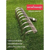 ราคา คราดโกยหญ้าเหล็ก 9ฟัน POLLO รุ่น RH-9T สีเทา (20384332803)