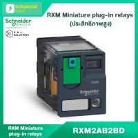 ราคา Schneider Electric RXM2AB2BD Relay รีเลย์ 2 คอนแทค กระแส12A Coil 24VDC มีไฟ LED แสดงสถานะ (25868671718)