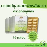 ราคา SET 10 แผง อภัยภูเบศร ยาแคปซูล ผสม เพชรสังฆาต (ขนาด 10 แคปซูล/แผง) (29756673082)