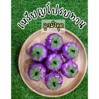 ราคา พร้อมส่ง เหรียญโปรยทานลูกมังคุด (พร้อมโปรย/ตัวเปล่า) (27155318960)