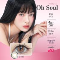 ราคา บิ๊กอาย | Rozelens - Oh Soul (Gray) คอนแทคเลนส์ ค่าอมน้ำ 55% (29771282647)