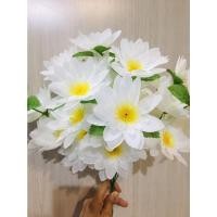 ราคา ดอกบัวช่อ ดอกบัวบาน 1ช่อ 5ดอก (*1มัดมี10ช่อ*)พร้อมส่ง ดอกบัวสีขาวออร์คิด ดอกบัวผ้า (19934955479)