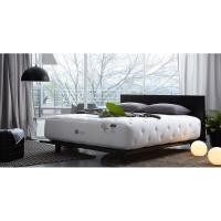 ราคา SB Design Square ที่นอน Lotus รุ่น NINA ขนาด 6 ฟุต แถมฟรีหมอนหนุน 2 ใบ (25007987426)