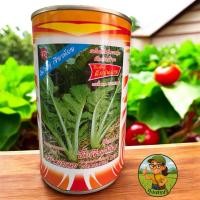 ราคา เมล็ดผักชุนฉ่าย บิ๊กเขียวน้อย ตราสี่ทิศ (26243271040)