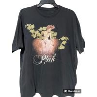 ราคา เสื้อทัวร์วง Pink ศิลปินหญิงเดี่ยวปี 2015 ของแท้มือสอง (25383764184)