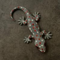 ราคา จิ้งจกปลอม ตุ๊กแกปลอม ชุด 12 ชิ้น ขนาด 7.5ซม. - 8.5ซม. จิ้งจกปลอมเหมือนจริง จิ้งจกยาง ของเล่น ตุ๊กแกยาง (48002934717)