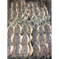 ราคา ปลาข้างเหลืองโรยงา (1กิโลกรัม) ปลาข้างเหลืองงา ปลาข้างเหลือง ปลาข้างเหลืองงา (27902528510)