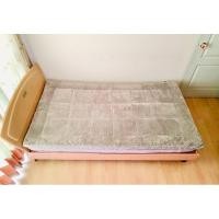 ราคา ที่นอนปิคนิค หรือท๊อปเปอร์ ขนาด 3.5ฟุต สีเทากำมะหยี่ลายปุ่ม มือสองสภาพดี สินค้าญี่ปุ่น-เกาหลีแท้ (24761116407)