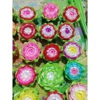 ราคา เหรียญโปรยทานตัวเปล่า(ดอกบัวสวรรค์) (18295042082)