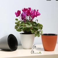 ราคา กระถางมินิมอล กระถางรดน้ำอัตโนมัติ แบบ​เก็บ​น้ำ​ได้​ กระถาง 4นิ้ว กระถางรดน้ำต้นไม้อัตโนมัติ ตกแต่งร้าน กระถางต้นไม้ (14370448775)