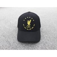 ราคา หมวกลิเวอร์พูลหมวกแชมป์พรีเมียลีค2019-2020 #LFC#Liverpool (5247252382)