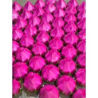 ราคา เหรียญโปรยทาน ดอกไม้โปรยทาน ตัวเปล่า ดอกกุหลาบแย้ม กุหลาบตูม ดอกมะลิ (27487104857)