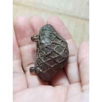 ราคา เครื่องรางเบี้ยแก้หลวงปู่บุญเก่าๆๆอุดปรอทวัดกลางบางแก้ว (27032379268)