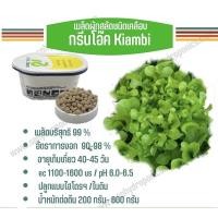 ราคา เมล็ดผักสลัด ชนิดเคลือบ กระปุก 1000 เมล็ด(Rijk zwaan) (16286735335)