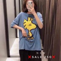 ราคา New in มาแล้วค่าาาา งานแฟชั่น ❌ไม่ใช่zara❌ Zara x ซิมสัน คอกลม เนื้อผ้าดีสุด (6017856900)