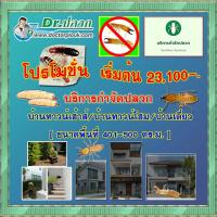 ราคา Dr.ปลวก [บริการกำจัดปลวก] บ้านทาวน์โฮม (ขนาดพื้นที่ 401-500 ตร.ม.) (44108956988)