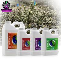 ราคา สารละลาย ไฮโดรโปนิกส์ ธาตุอาหาร ผักไฮโดร Hydroponics ผักสลัด 500ml 1000ml (21386686098)