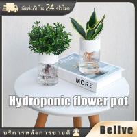 ราคา กระถางต้นไม้แบบใส สำหรับปลูกต้นไม้ เลี้ยงปลา ตกแต่งบ้าน ทรงกลม (27416072144)