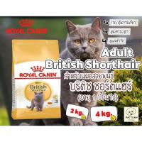 ราคา Royal Canin British Shorthair Adult ( 2 kg.และ 4 kg.) สำหรับแมวโตพันธุ์บริติช ชอร์ตแฮร์ อายุ 1 ปีขึ้นไป (44256822834)