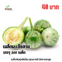 ราคา เมล็ดมะเขือลาย บรรจุ 200 เมล็ด (48100397629)