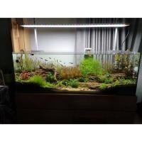 ราคา ขายตู้ไม้น้ำ Aqu@Mind size 36” มือสอง (ตู้เปล่า) (2703497372)