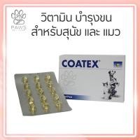 ราคา Pawspetcareแบ่งขาย Coatex วิตามินบำรุงขนและผิวหนัง จำนวน 60 เม็ด (13520840322)