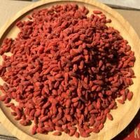 ราคา โกจิเบอรี่ เก๋ากี้แดง Goji Berries โกจิเบอร์รี่แดง เกรดA อบแห้งพร้อมทาน เก๋ากี้แห้ง จากธรรมชาติ คุณภาพสูง (57654952752)