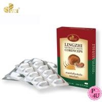 ราคา PHYTOGOLD Lingzhi Extract Plus Cordyceps เห็ดหลินจือสกัด ผสมถั่งเช่า ( ขนาด 30 แคปซูล 1 กล่อง) #10379 (23318931218)