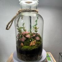 ราคา terrarium สวนขวดระบบเปิด (42413682602)