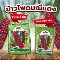 ราคา ข้าวโพดมณีแดง ข้าวโพดข้าวเหนียวหวานลูกผสม (26151749427)