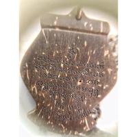 ราคา บาตรพระปัจเจกโพธิ์ + ด้านหลังบรรจุอังคารธาตุแท้ๆของหลวงพ่อจง วัดหน้าต่างนอกพระอรหันต์ หลวงปู่ยวง วัดหน้าต่างในสร้าง (16094298758)