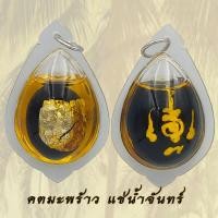 ราคา คต มะพร้าว คตมะพร้าว แช่ในน้ำมันจันทร์ มหานิยม มหาอุต คงกระพัน แคล้วคลาด ค้าขายร่ำรวย คตมะพร้าวแช่น้ำมัน (48103781575)