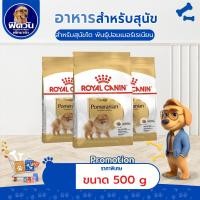 ราคา โรยัลคานิน อาหารสุนัขโต พันธุ์ปอมเมอเรเนียน ชนิดเม็ด 500 กรัม (POMERANIAN ADULT) (10011213717)
