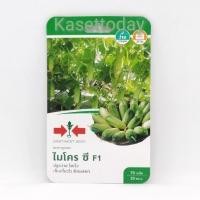 ราคา แตงกวา​ ไมโคร​ ซี​ ตราศรแดง​ F1​ เมล็ดพันธุ์ตราศรแดง (9645952927)