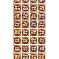 ราคา Lithops ไลทอป ลิทอป ไลทอปส่งทั้งกระถาง จัดชุดไลทอป A21-40 (4194974715)