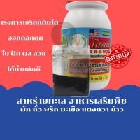 ราคา โกลท สาหร่ายทะเล อาหารเสริมพืช 5 กรัม ใช้ได้ใน ผัก ถั่ว พริก มะเขือ แตงกวา ข้าว เร่งการเจริญเติบโต ออกดอกดก ใบฝัก ผล!!!! (19943642339)