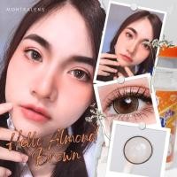 ราคา คอนแทคเลนส์ Hello Almond brown / Gray (Montra) ขนาดบิ๊กอาย (27605841782)